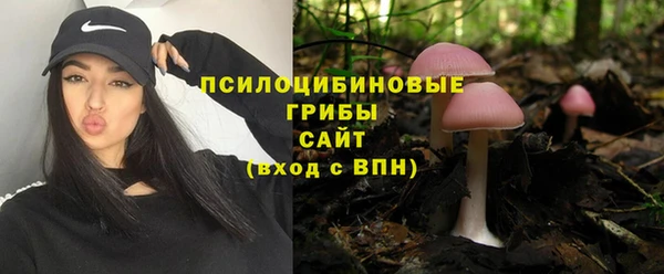шишки Осташков