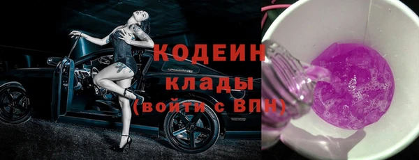 шишки Осташков
