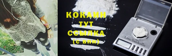 шишки Осташков