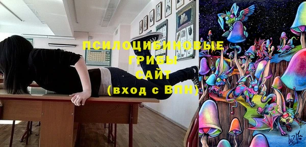 шишки Осташков