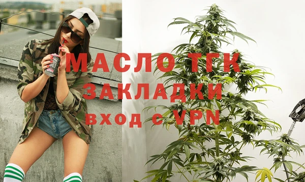 шишки Осташков
