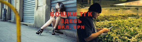 шишки Осташков