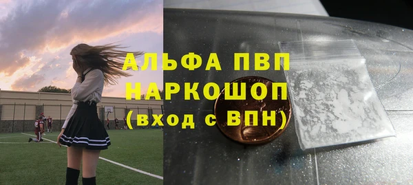 шишки Осташков