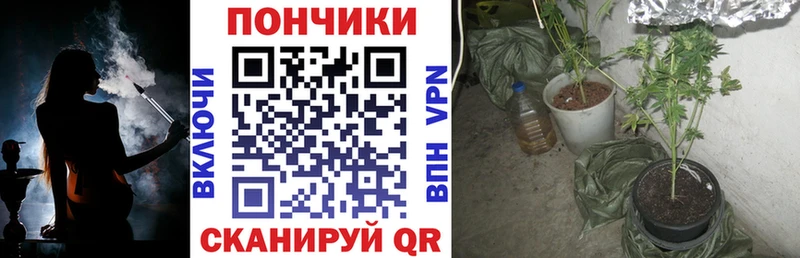 купить Астрахань Каннабис гибрид